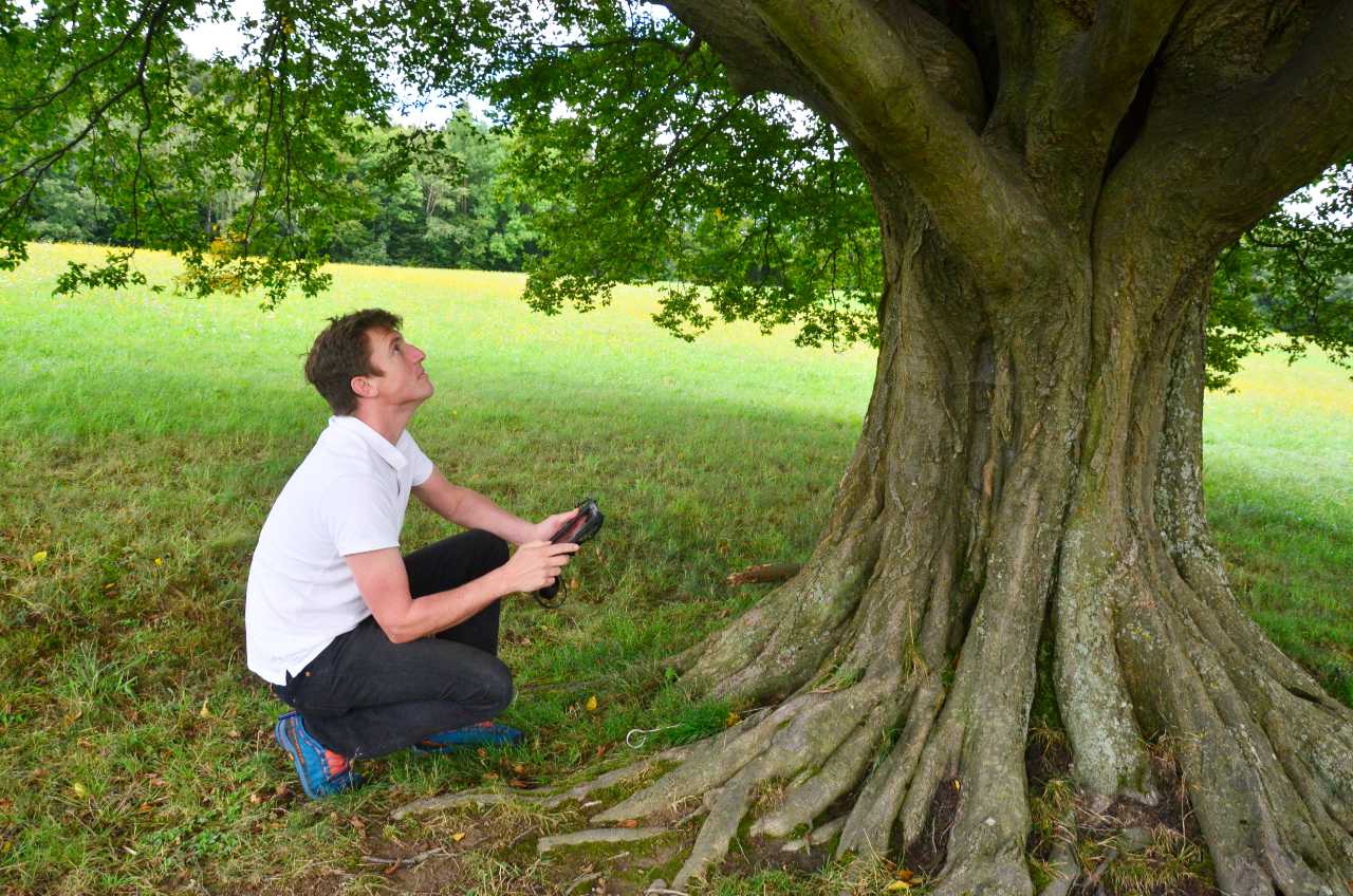 Baumkontrolle und Baumkataster