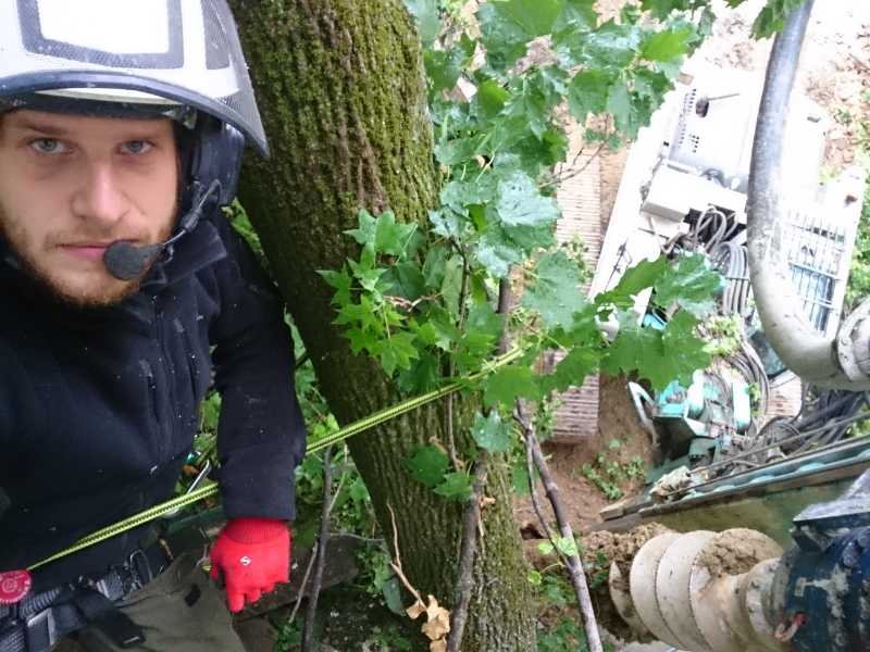 Baumkontrolle und Baumschutz auf der Baustelle